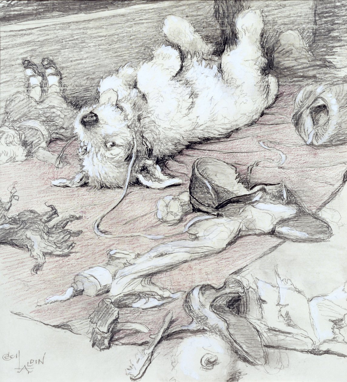 Huncut kiskutya, (ceruza fehérrel megerősítve) alkotó: Cecil Charles Windsor Aldin