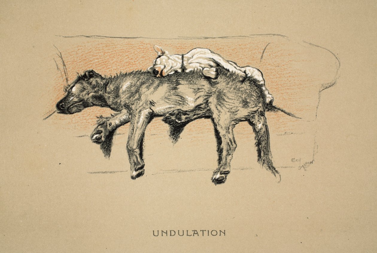 Undulation, 1930, 
