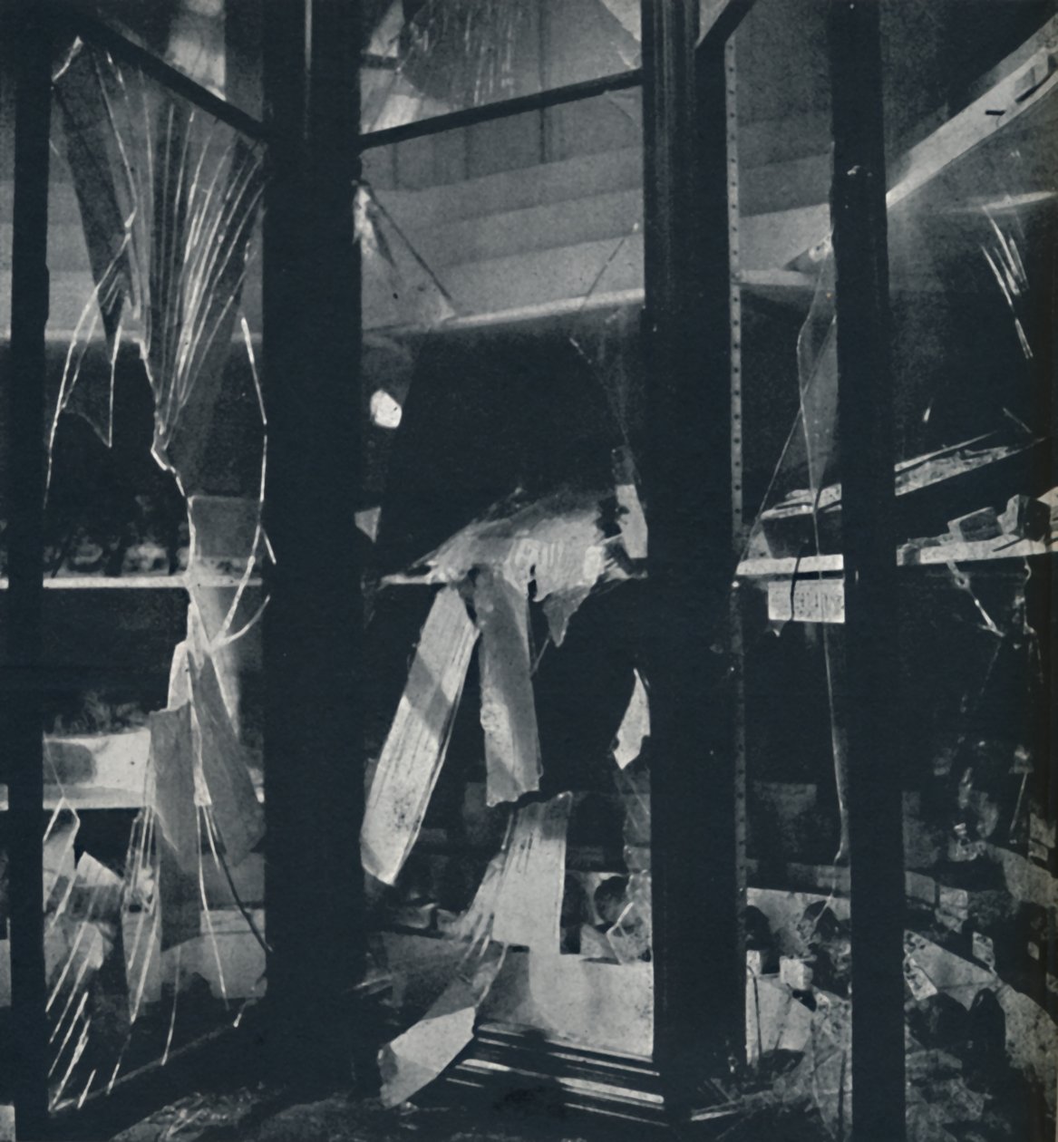 Vitrinek a Természettudományi Múzeumban, 1941 alkotó: Cecil Beaton