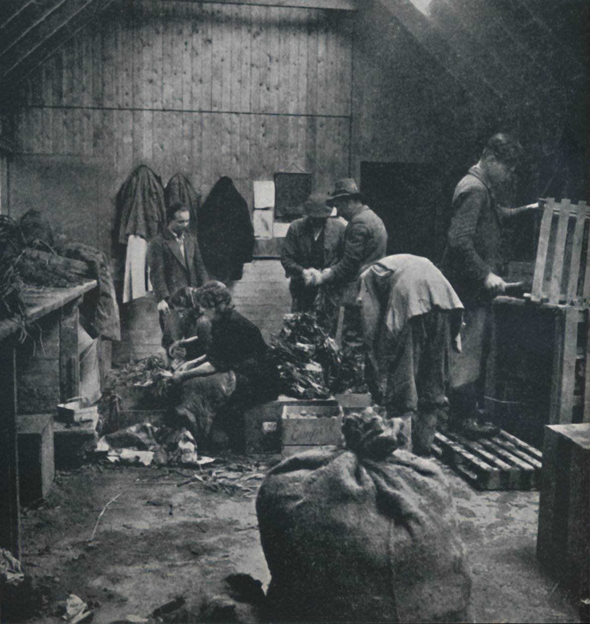 Zöldségek piacra, 1941 alkotó: Cecil Beaton