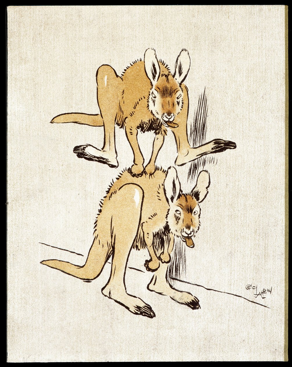 Képregény kenguruk. Két kenguru birkaugrást játszik. alkotó: Cecil Charles Windsor Aldin
