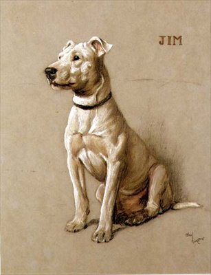 Jim, egy bullterrier (kréta szürke papíron) alkotó: Cecil Charles Windsor Aldin