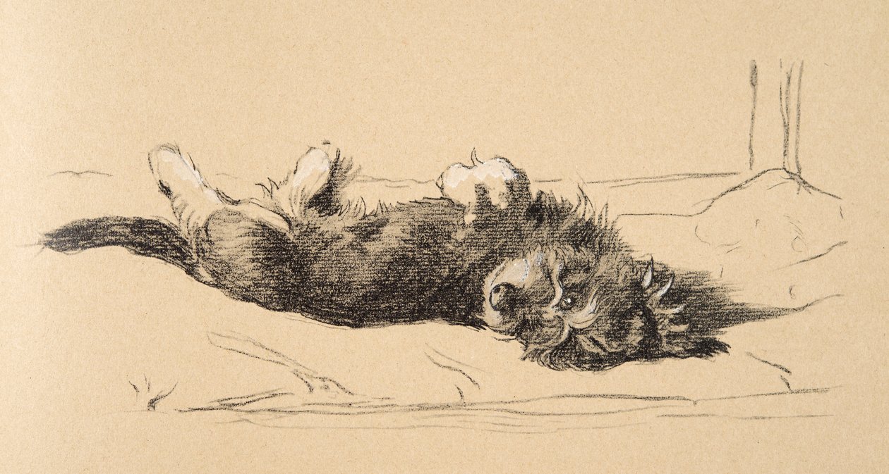 Rough Daschund Puppy Detail, 1930, Illusztrációk a vázlatfüzetéből, a Csak a barátok között, Aldin, Cecil Charles Windsor (1870-1935), később kiadó: Eyre and Spottiswoode Limited, 1934, Cha alkotó: Cecil Charles Windsor Aldin
