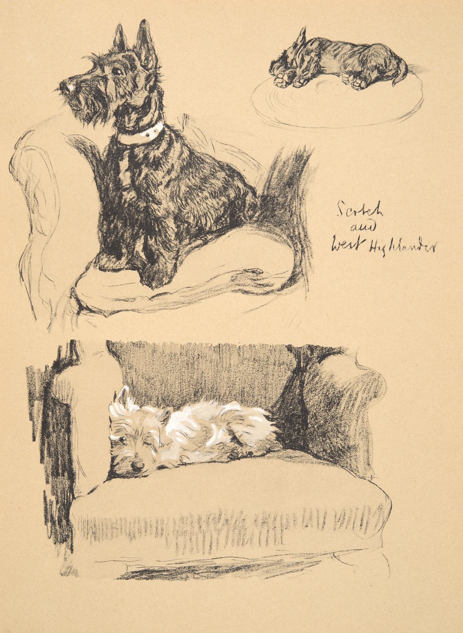 Scotch and West Highlander, 1930, Illusztrációk a vázlatfüzetéből, amelyet a Csak a barátok között, Aldin, Cecil Charles Windsor (1870-1935) számára használt, később kiadta: Eyre and Spottiswoode Limited, 1934, Chal alkotó: Cecil Charles Windsor Aldin