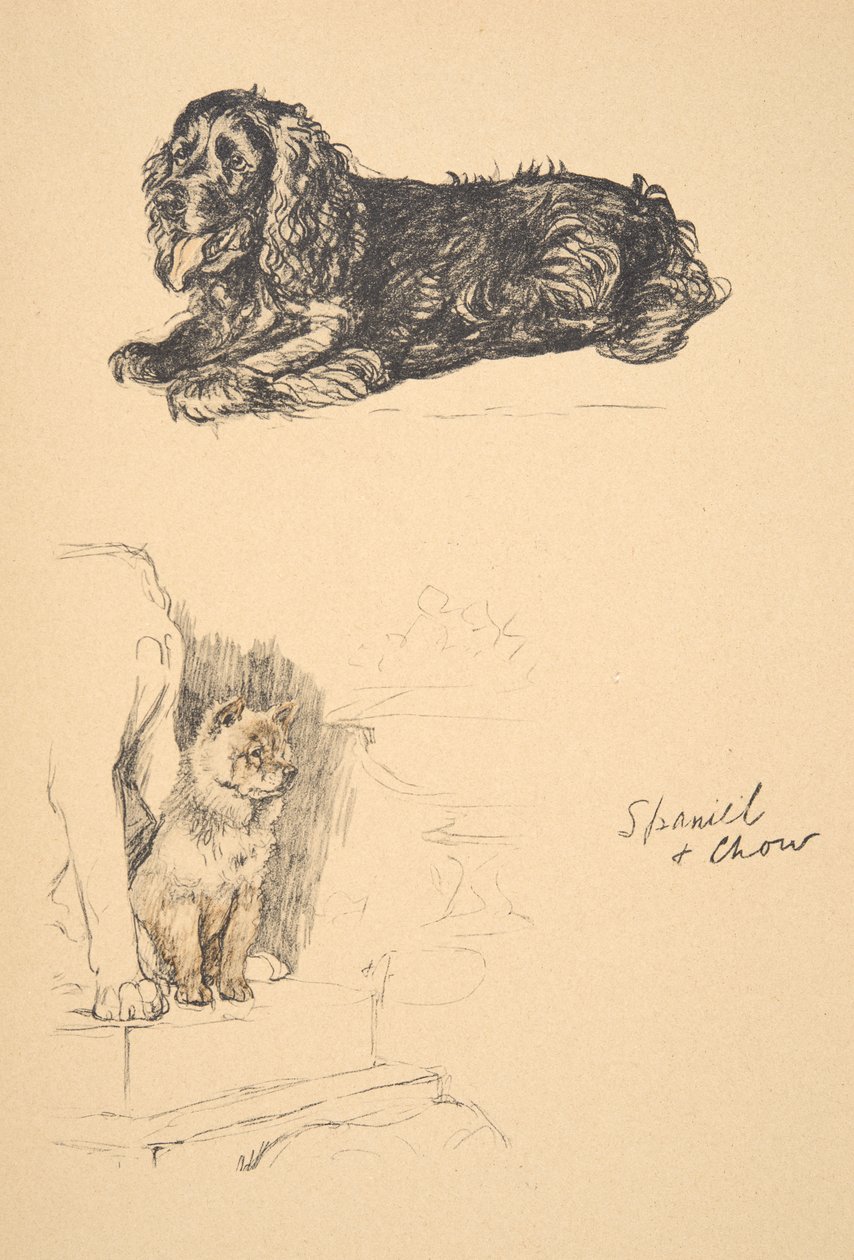 Spániel és csau, 1930, Illusztrációk a vázlatfüzetéből, amelyet a Csak a barátok között, Aldin, Cecil Charles Windsor (1870-1935) számára használt, később kiadó: Eyre and Spottiswoode Limited, 1934, Chalk and Char alkotó: Cecil Charles Windsor Aldin