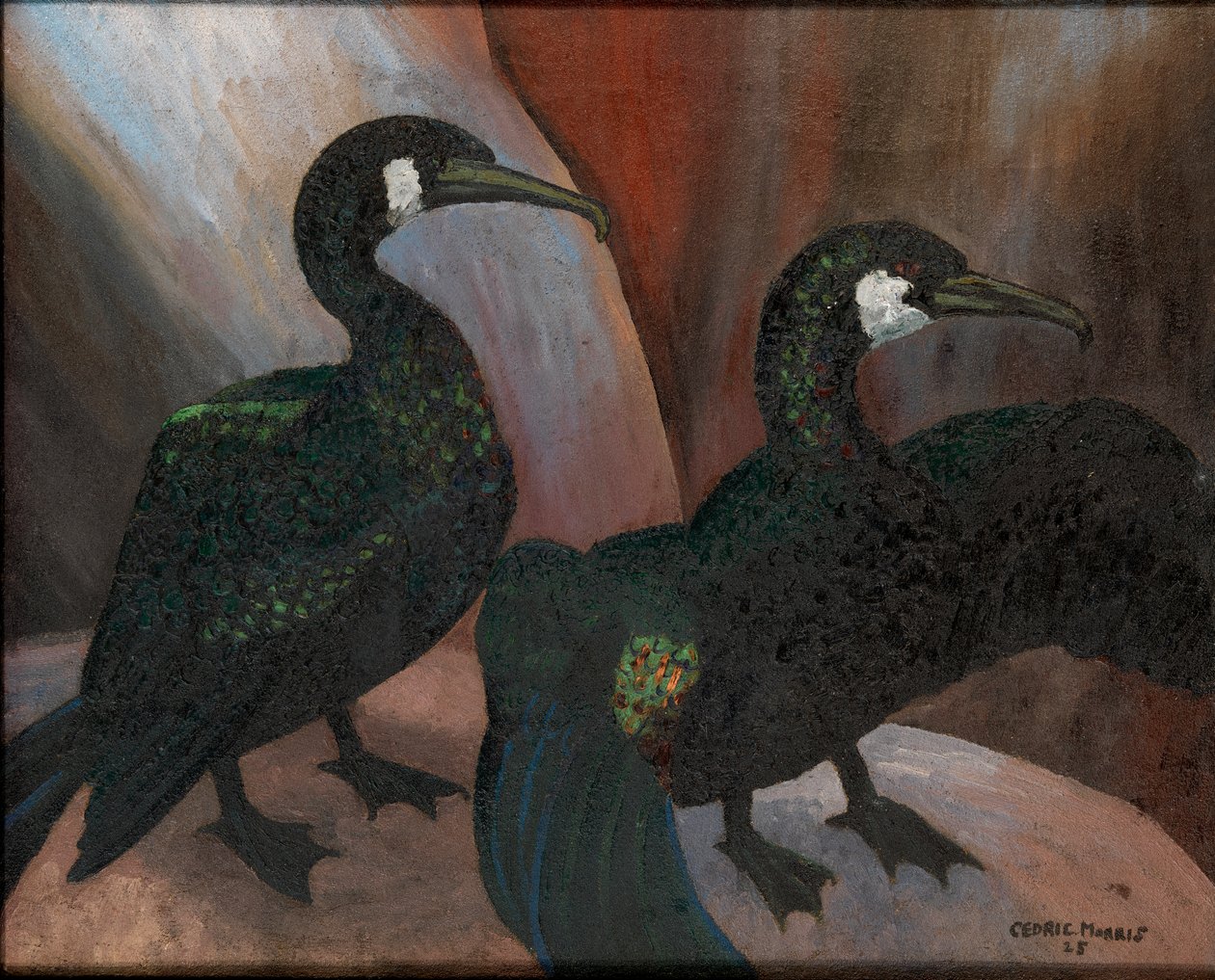 Zöld kormoránok alkotó: Cedric Morris