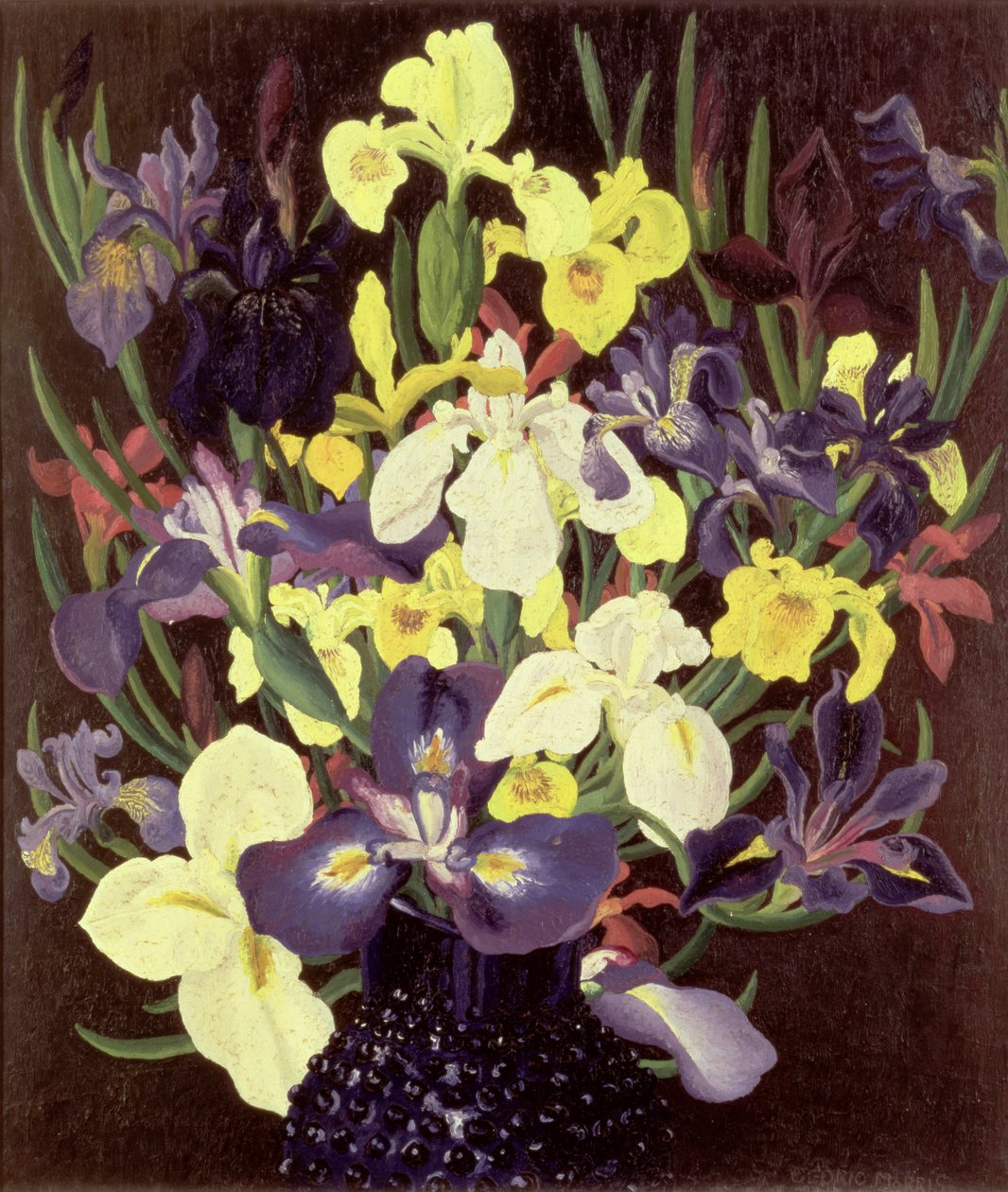Íriszek csoportja, 1940 körül alkotó: Cedric Morris