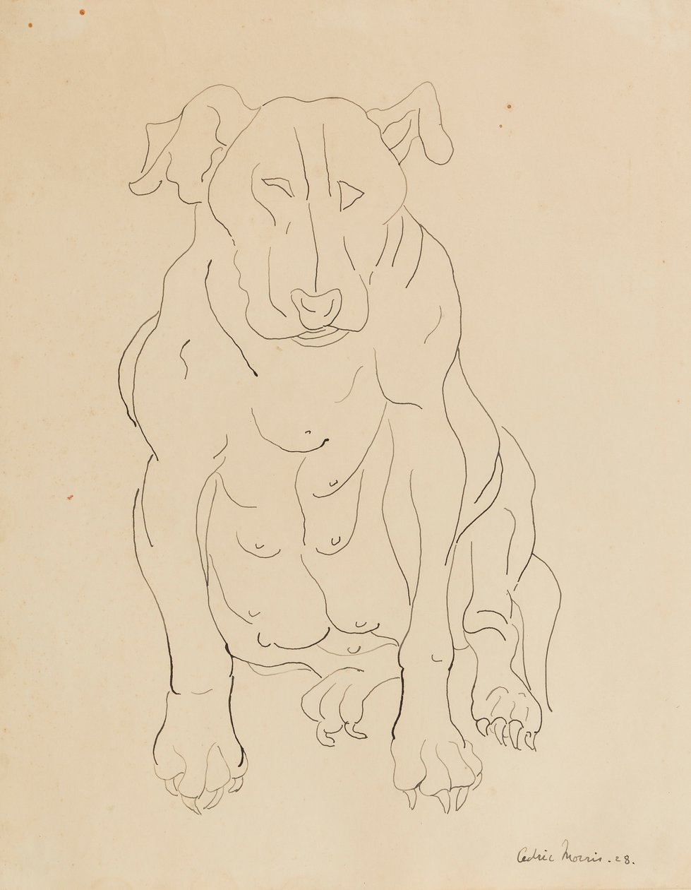 Nancy Morris bikakutyája alkotó: Cedric Morris