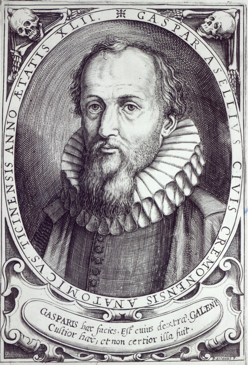 Gaspare Aselli alkotó: Cesare Bassano