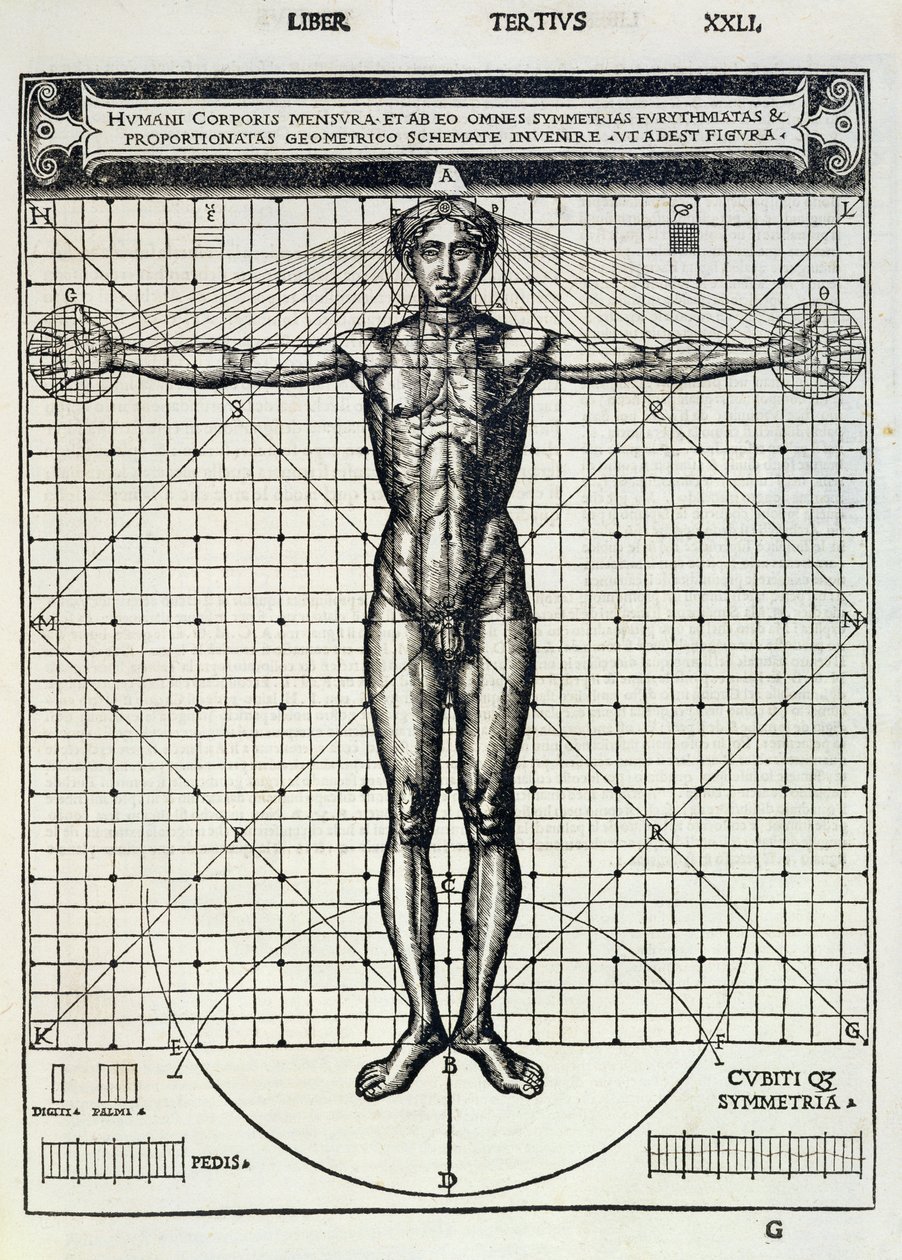 Ideális arányok az emberi test alapján, a „Di Lucio Vitruvio Pollione de architectura a libri dece” című művéből, Gotardo de Ponte Como, 1521 alkotó: Cesare di Lorenzo Cesariano