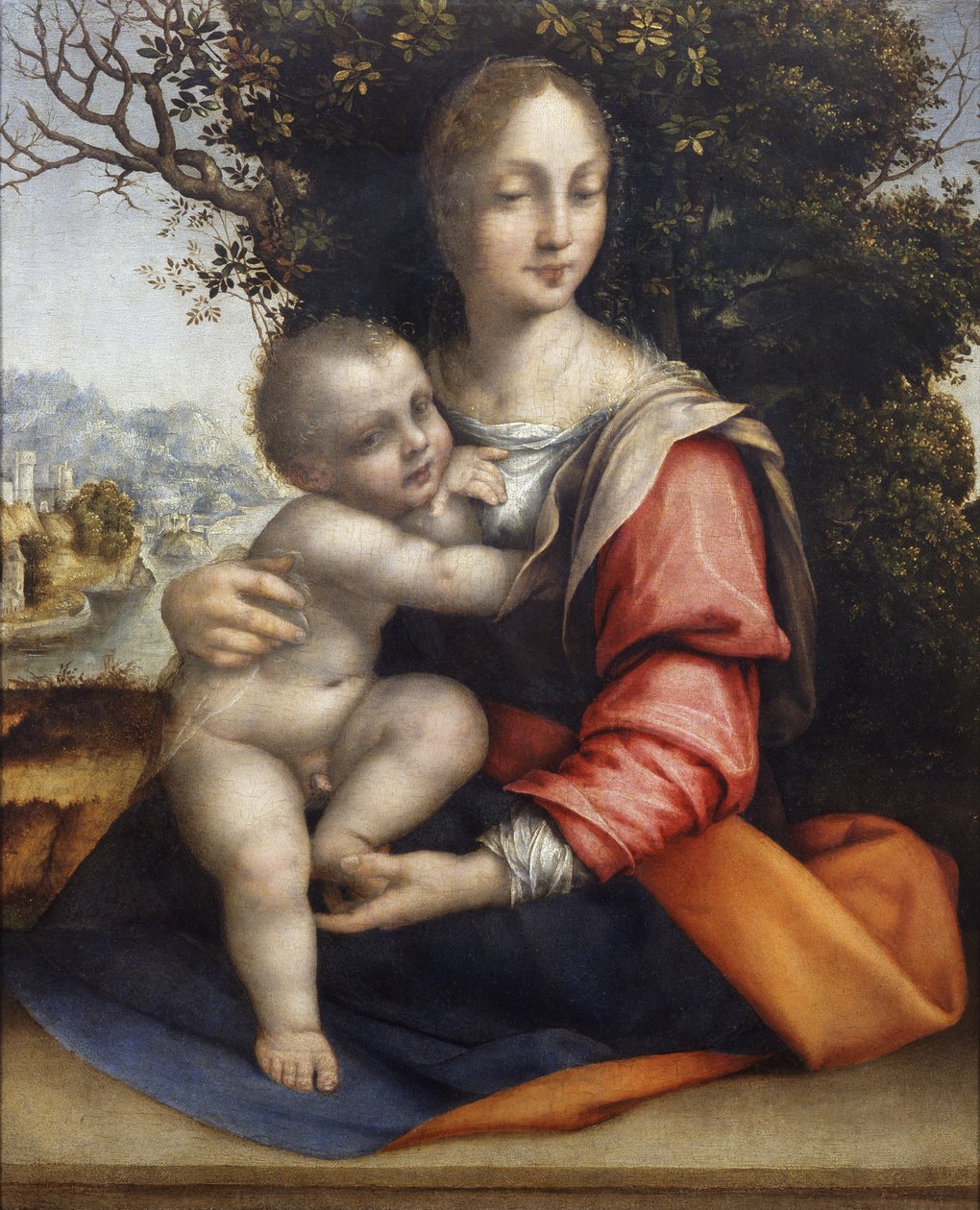 Madonna és gyermeke (A fa Szűzanya) alkotó: Cesare da Sesto