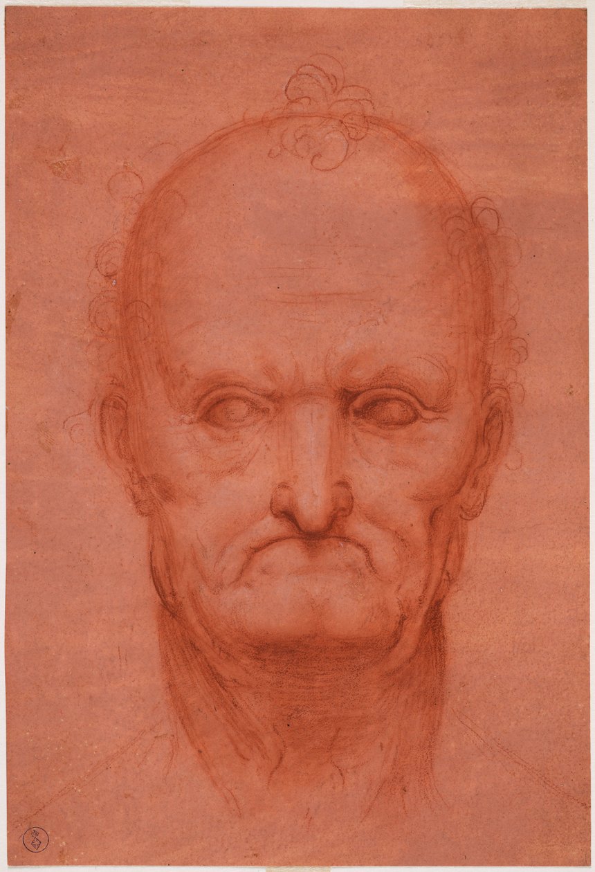 Öreg feje, c. 1515 (vér előkészített piros papíron) alkotó: Cesare da attr.to Sesto