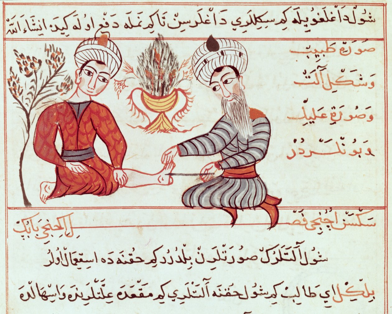 Ms Sup Turc 693 fol.125 Kelések és szemölcsök kezelése, 1466 alkotó: Charaf ed Din