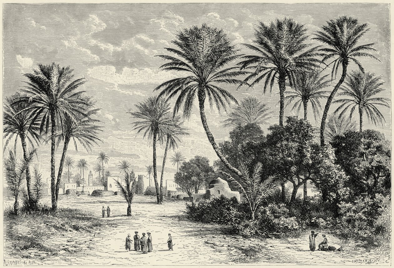 Gafsa oázisa: Tunisz alkotó: Charles Barbant