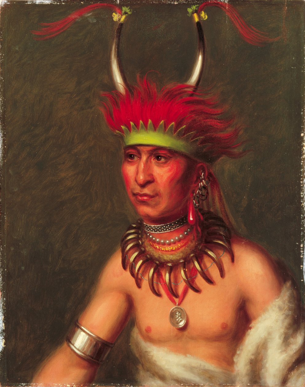 Monchousia (fehér tolla), rák alkotó: Charles Bird King