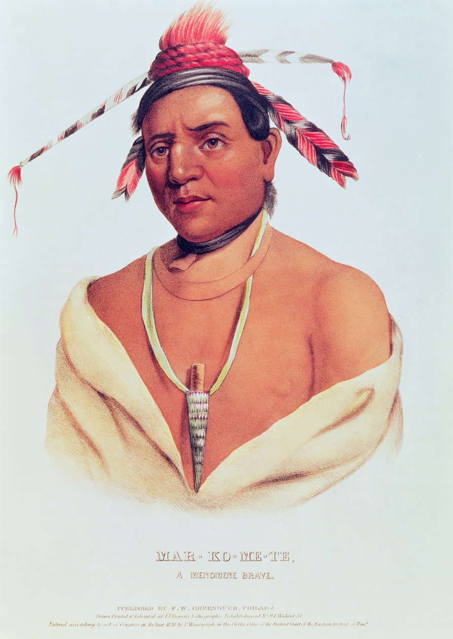 Portré Mar-Ko-és-Te, a bátor Menomene 1838 alkotó: Charles Bird King