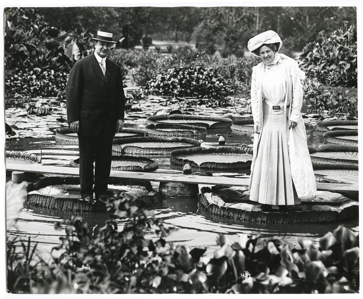 Tower Grove Park Lily Pond. Férfi és nő liliompárnákon. alkotó: Charles Clement Holt