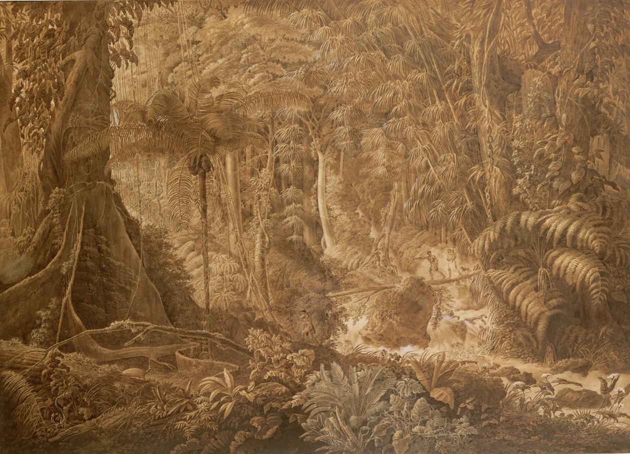 Brazil esőerdő, 1819 körül alkotó: Charles Comte de Clarac