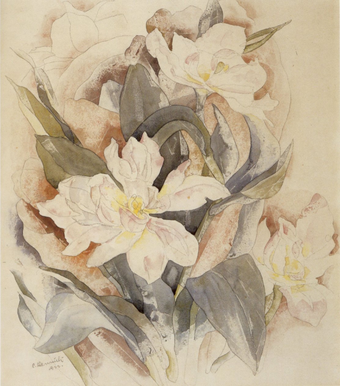 Virág Tanulmány alkotó: Charles Demuth