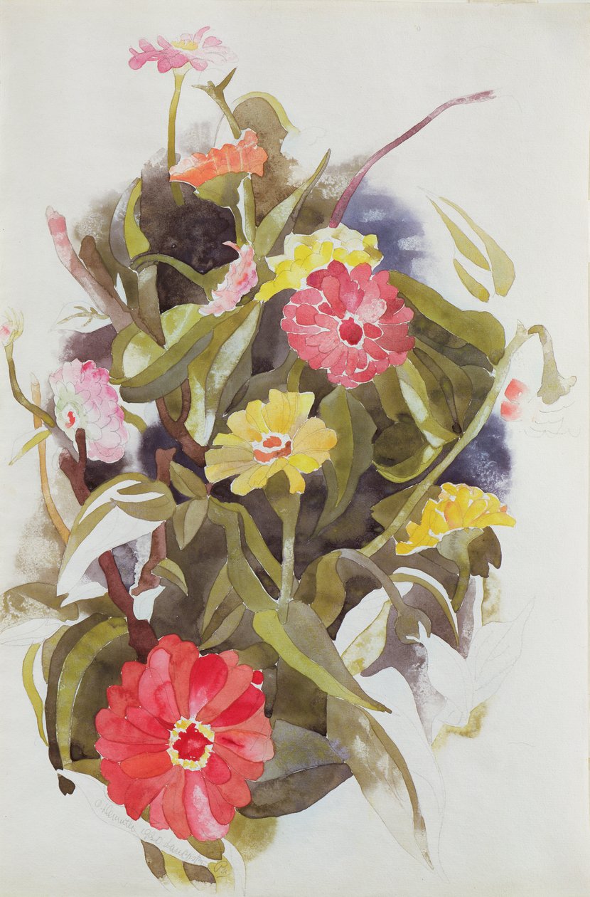 Zinnias, 1920 (wc papíron) alkotó: Charles Demuth