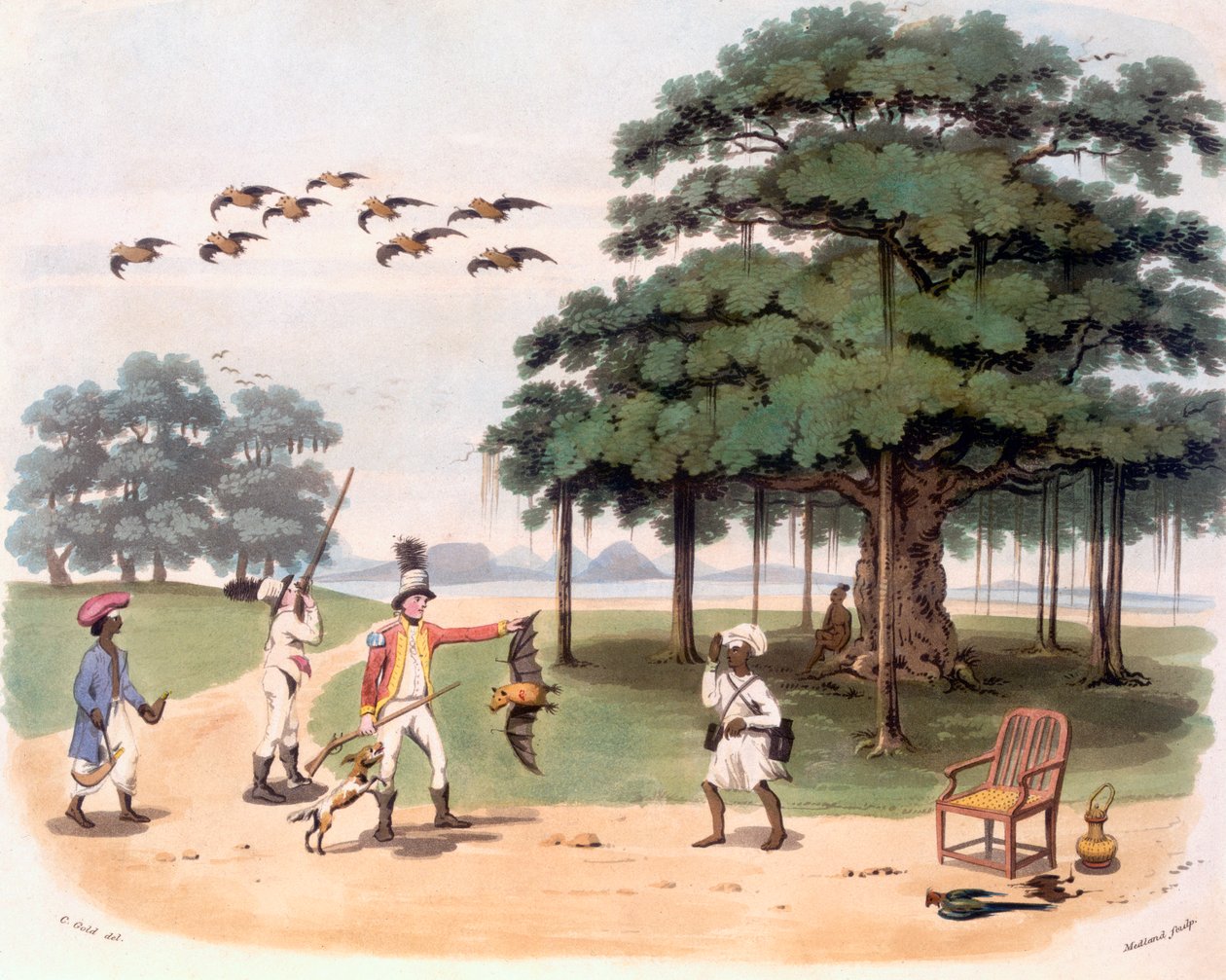Repülő rókák Banyantree-ben, 1791-98 körül (színes akvatinta) alkotó: Charles Emilius Gold