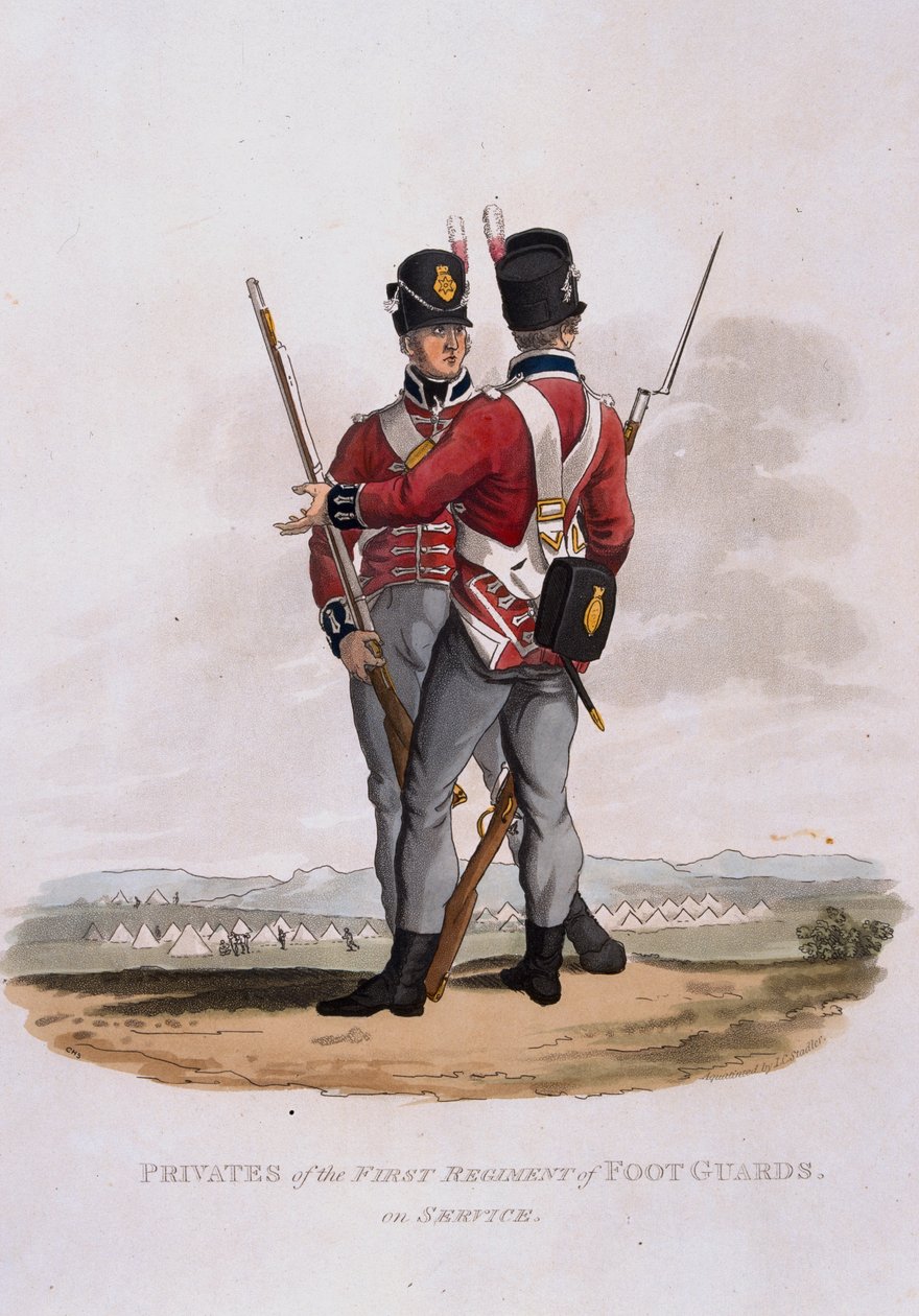 Az első gyalogőrezred szolgálatban lévő közlegényei a „Briti Birodalom hadseregének jelmezei, az 1812-es utolsó szabályzat szerint” című kötetből, J. C. Stadler metszetében, kiadó: Colnaghi und C. alkotó: Charles Hamilton Smith