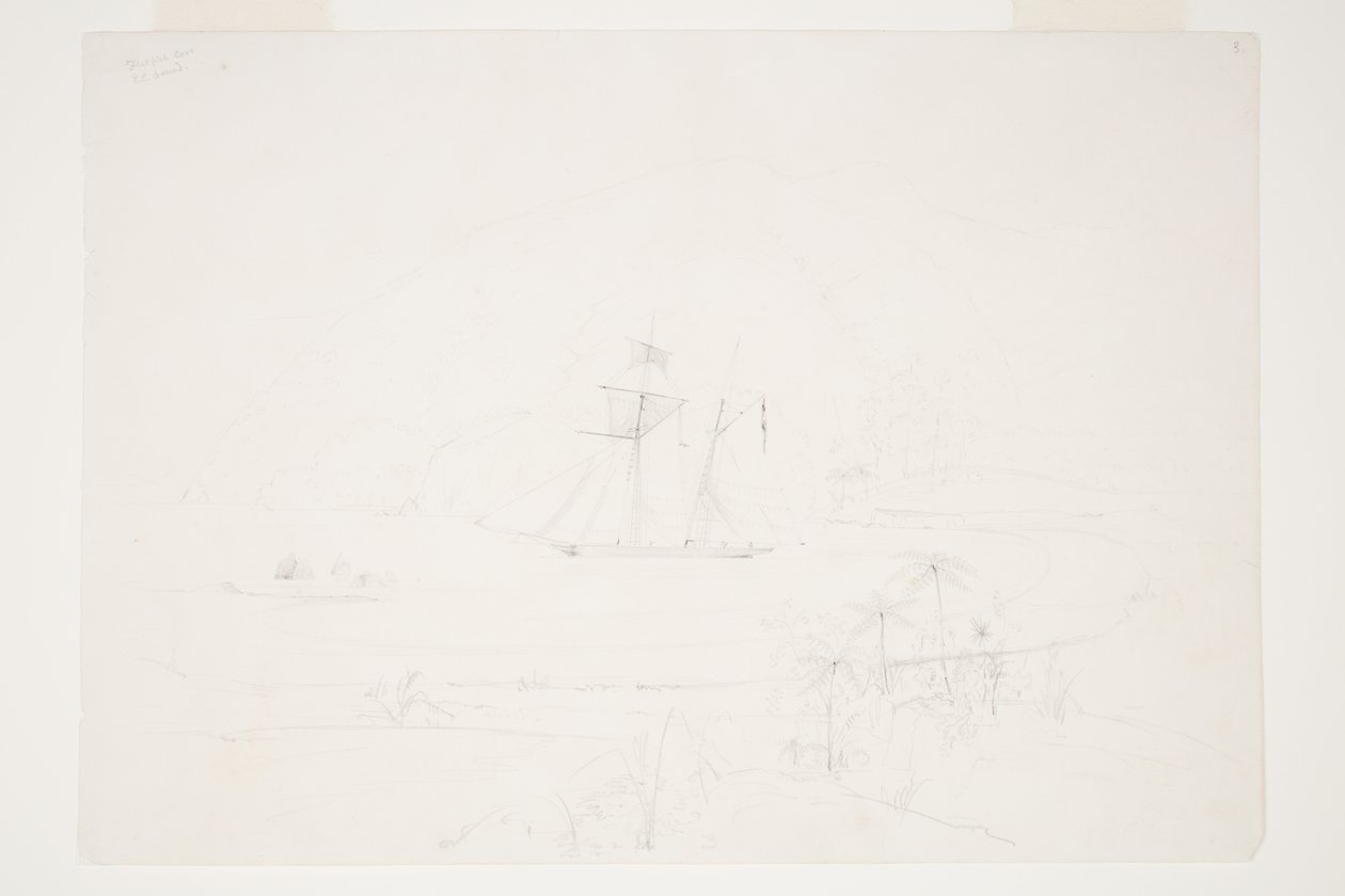 Flatfish Cove Q.C. Hang alkotó: Charles Heaphy