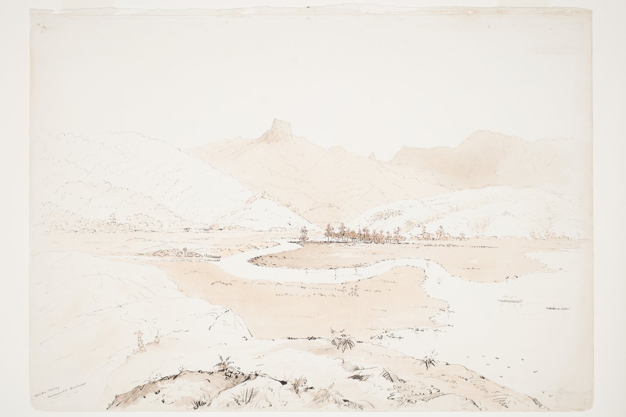 Waiau Valley Coromandel kikötője alkotó: Charles Heaphy