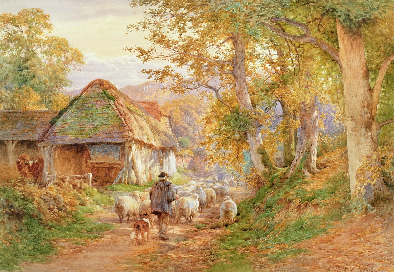 Vissza a Foldba alkotó: Charles James Adams