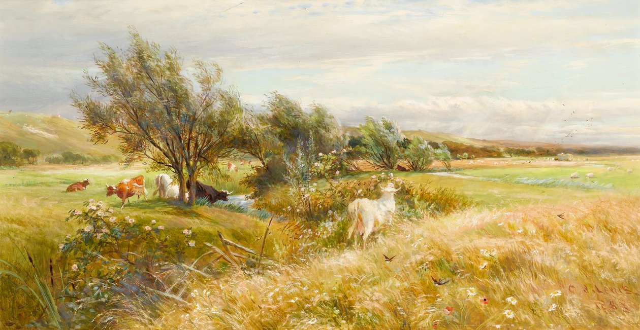 Szarvasmarha vízi réten (olaj, papír) alkotó: Charles James Lewis