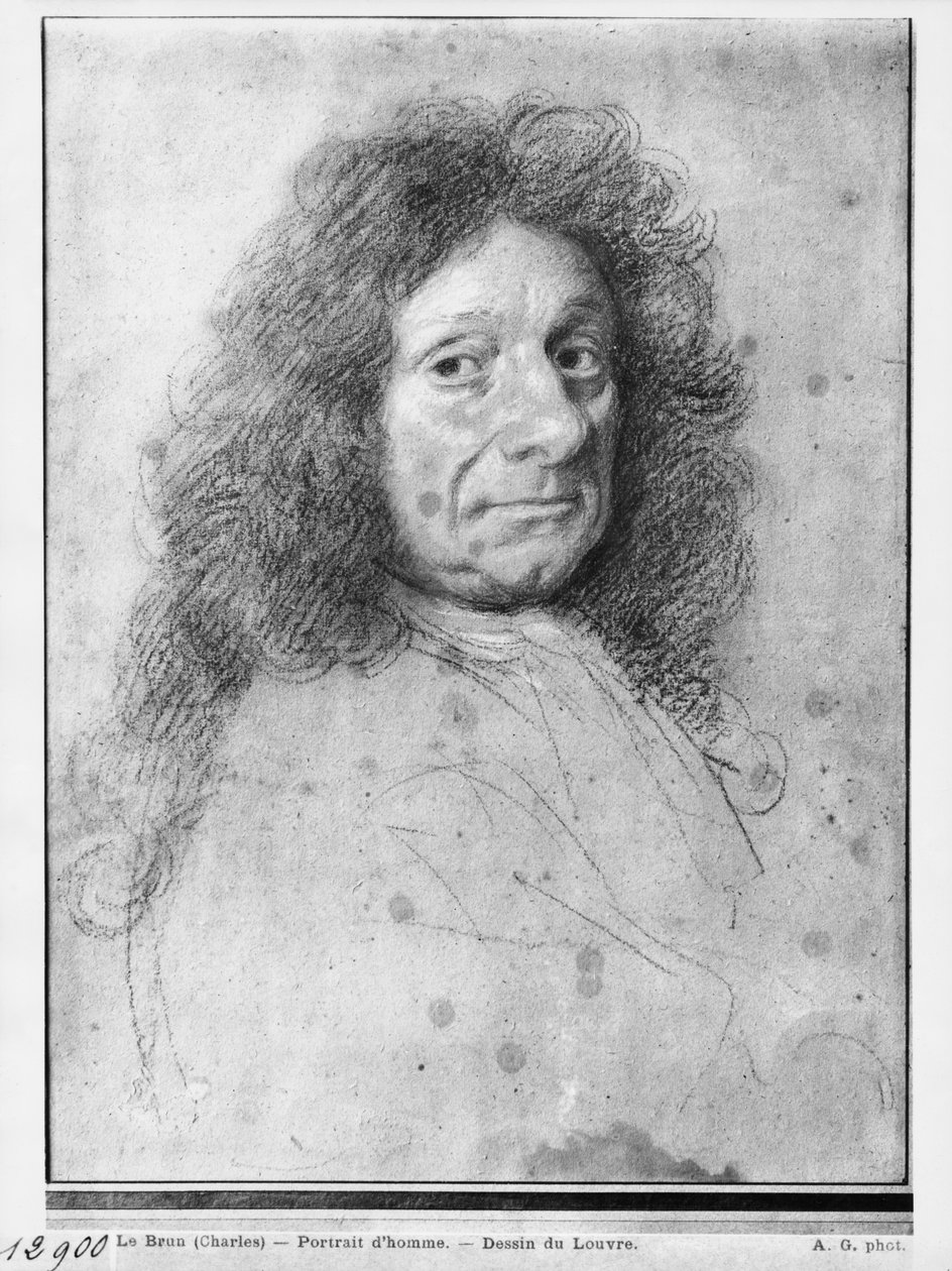 Férfi portré, jobbra fordítva (pasztell és szén, szürke bézs papíron) alkotó: Charles Le Brun