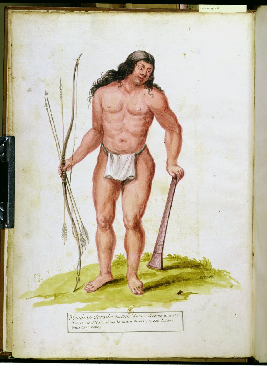 Karib-tengeri bennszülött a fegyvereivel, az Antillák növényeiről és civilizációjáról szóló kéziratból, 1686 körül. alkotó: Charles Plumier