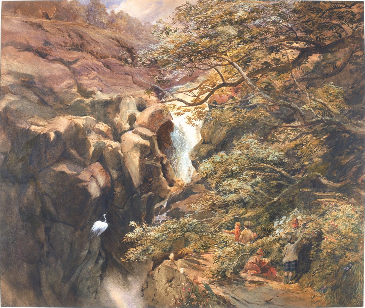Falls of Bran (testszín és wc papíron) alkotó: Charles Richardson
