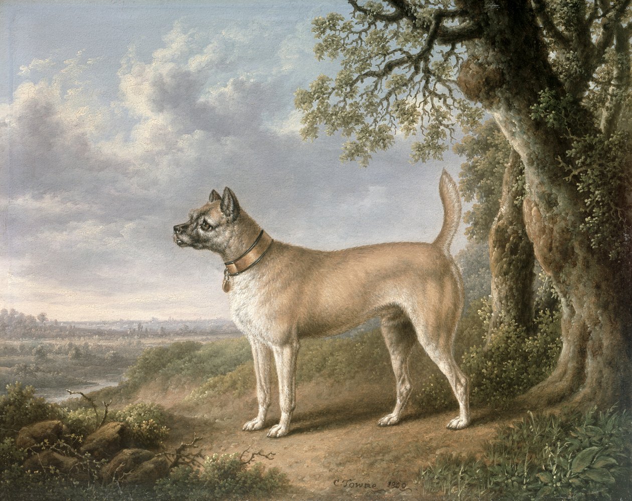 Terrier egy ösvényen egy erdős tájban alkotó: Charles Towne