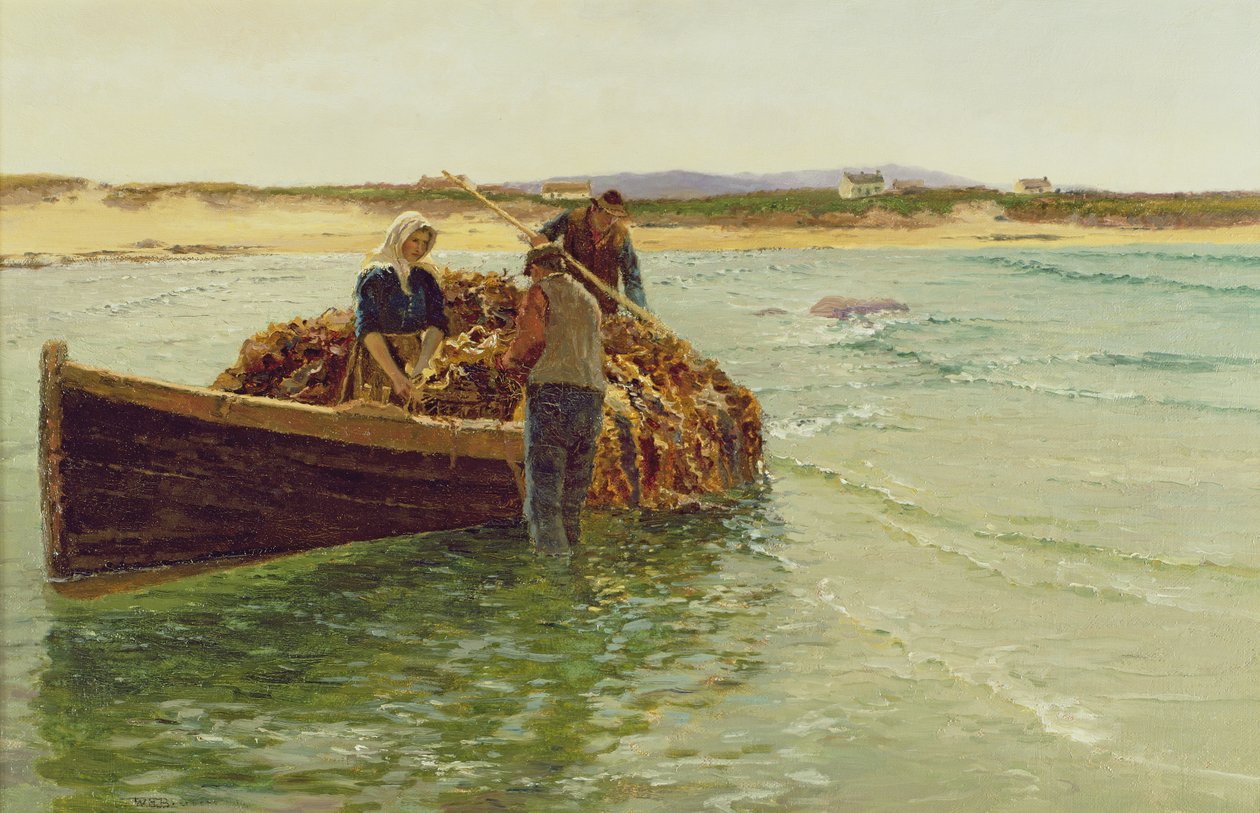 Kelp Weed kirakodása alkotó: Charles William Bartlett