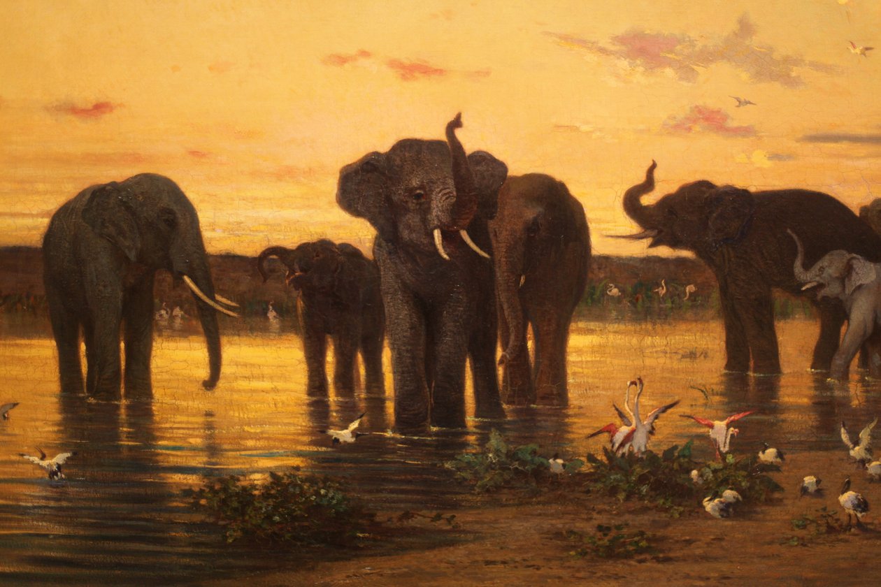 Afrikai elefántok alkotó: Charles Émile de Tournemine