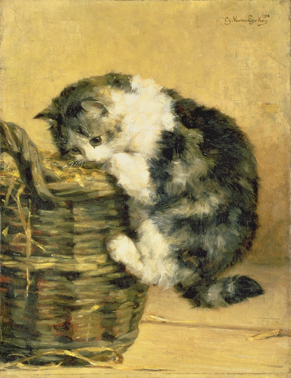 Macska kosárral alkotó: Charles van den Eycken