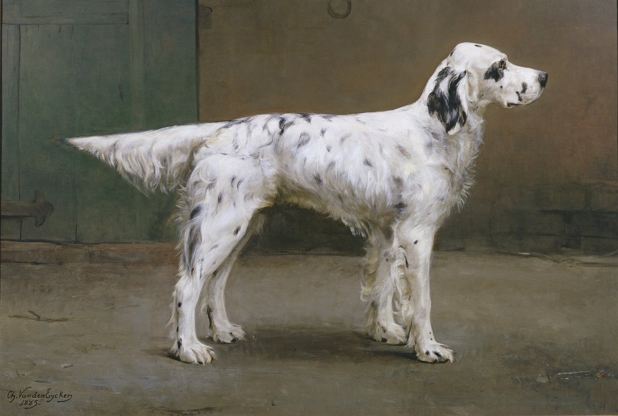 Kutyaportré, 1885 (párja 378730) alkotó: Charles van den Eycken
