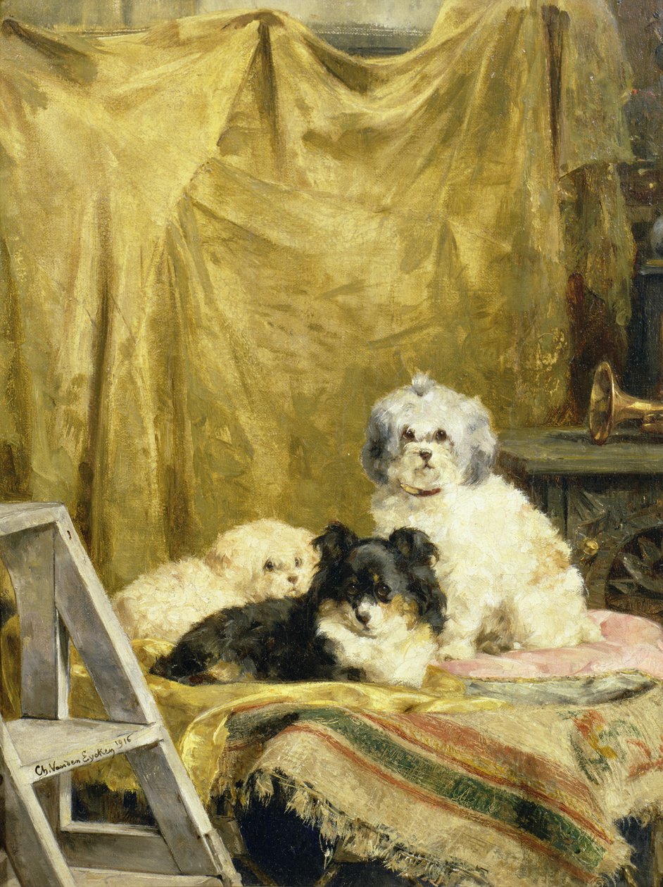 Három kutya alkotó: Charles van den Eycken