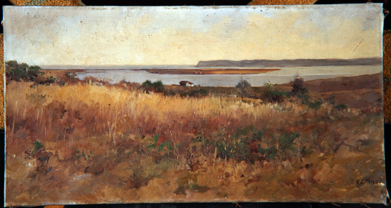 Point Loma a Logan Heightsból alkotó: Charles Arthur Fries