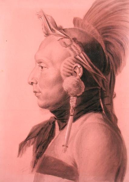 Egy indiai, esetleg Shahaka, mandan főnök portréja (ceruza és szén színes papíron) alkotó: Charles Balthazar Julien Févret de Saint Mémin