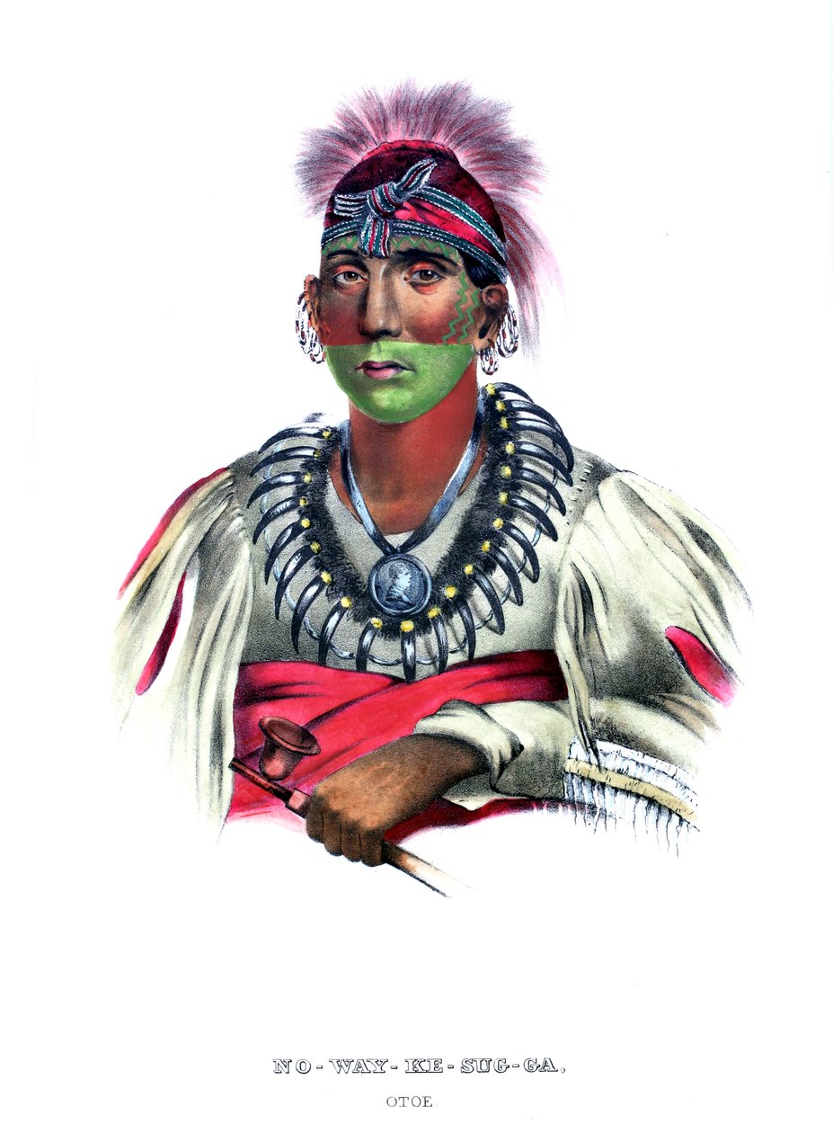 Nowaykesugga alkotó: Charles Bird (after) King