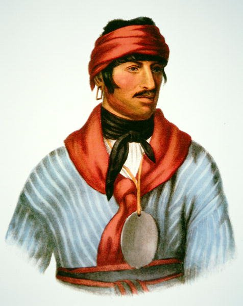 Selocta, a patakok vezére, egy 1825-ös festményről (színes litó) alkotó: Charles Bird (after) King