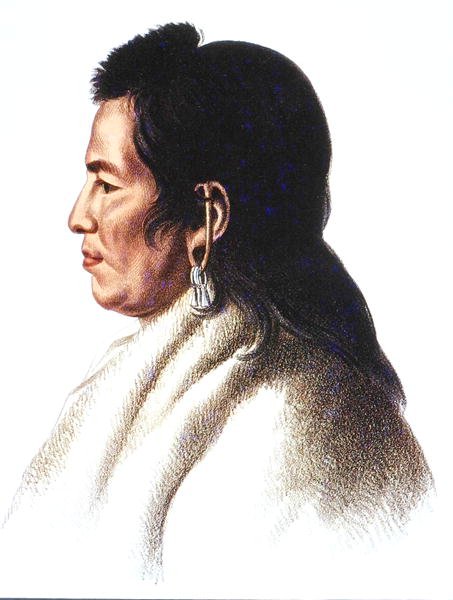 Shahaka (nagy fehér) a mandán nép főnöke (színes litó) alkotó: Charles Bird (after) King