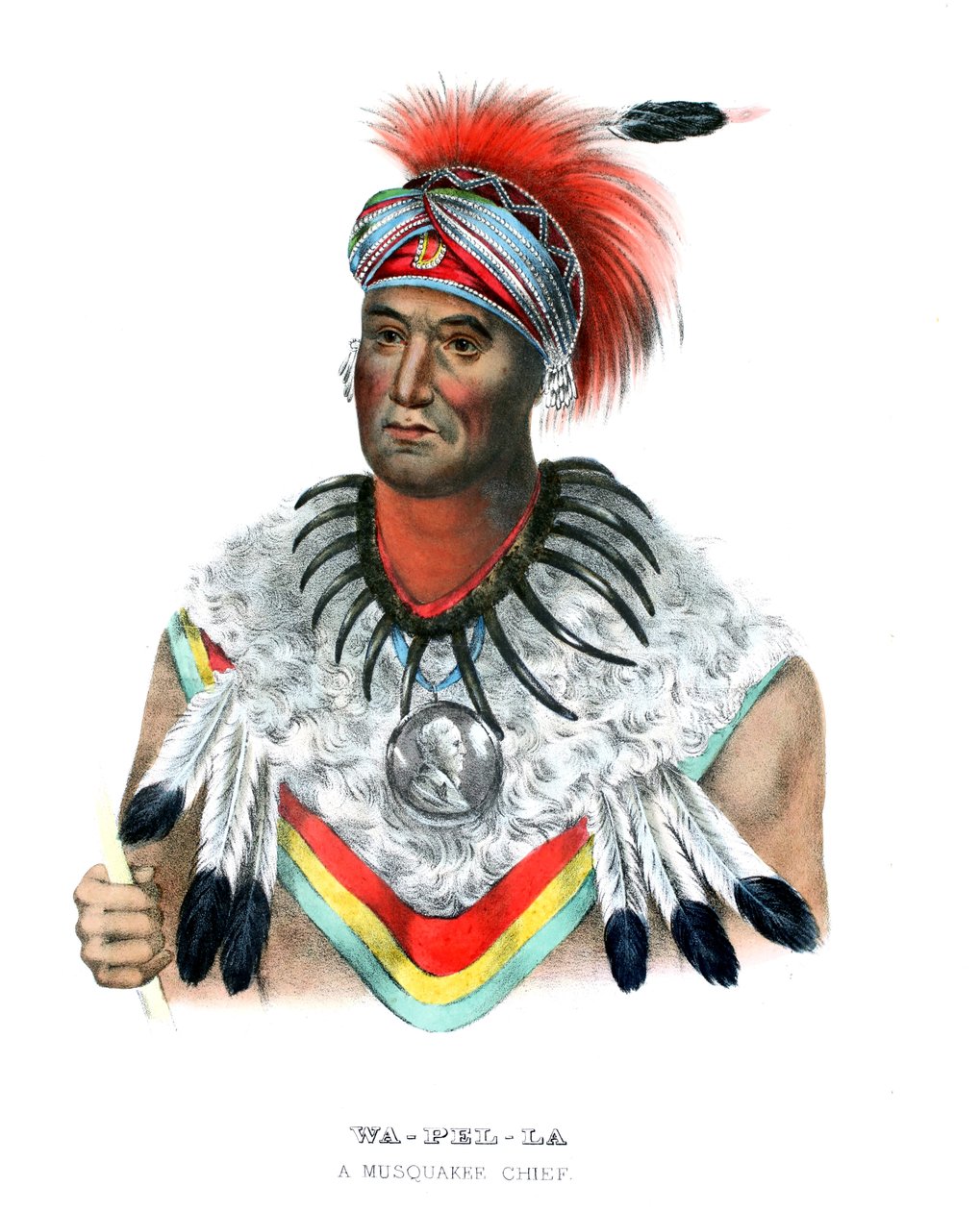 Wapella alkotó: Charles Bird (after) King