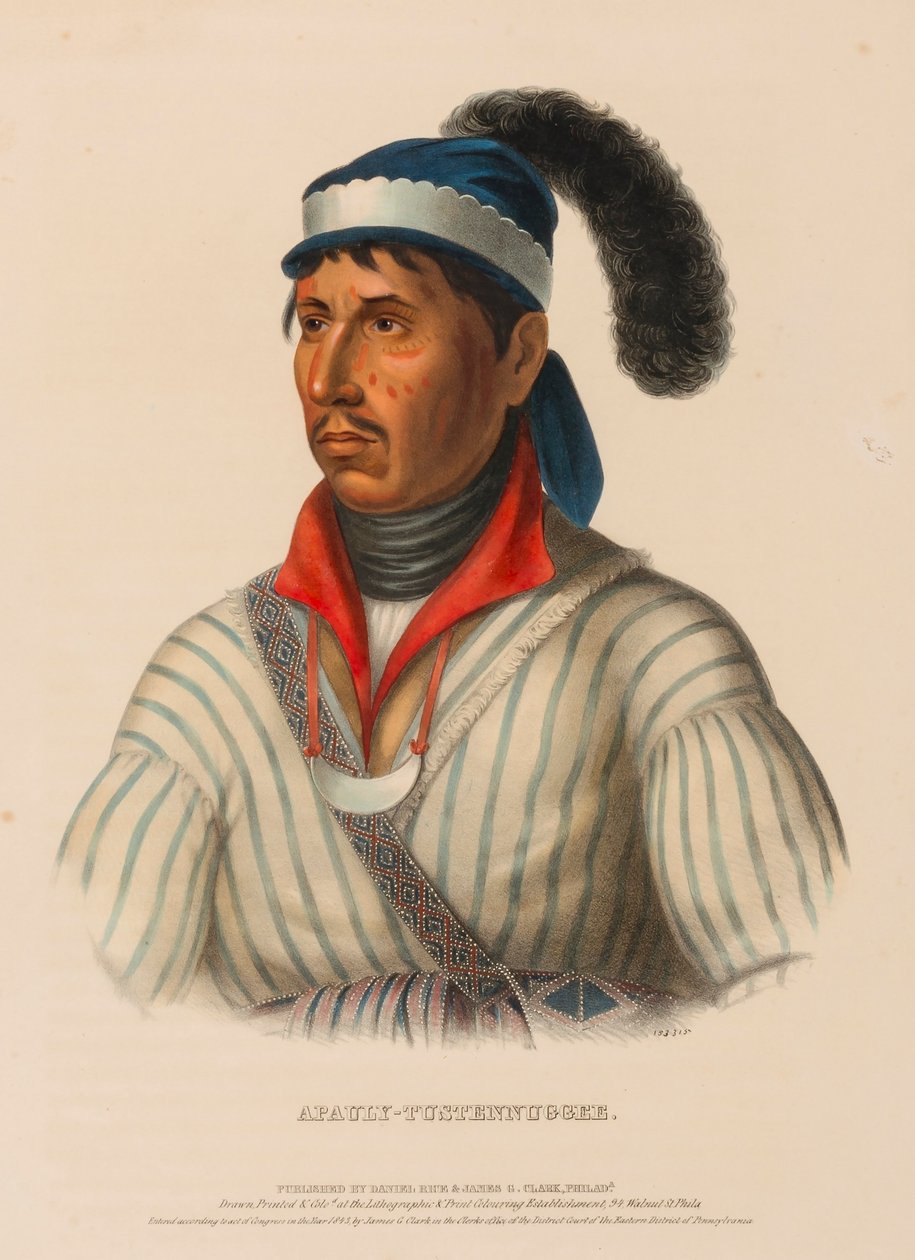 APAULY-TUSTENNUGGEE., az Észak-Amerika indián törzseinek története című könyvből alkotó: Charles Bird King