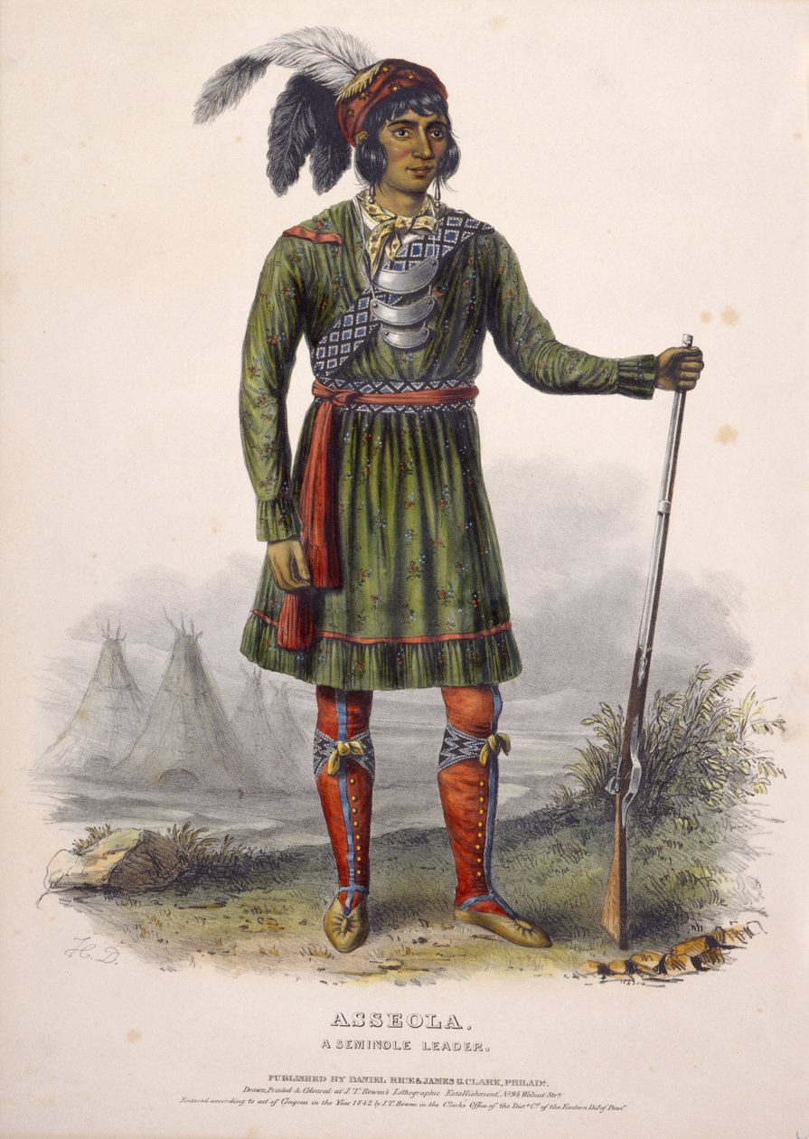 ASSEOLA, A SEMINOLE VEZETŐ, az Észak-Amerika indián törzseinek története című könyvből. alkotó: Charles Bird King