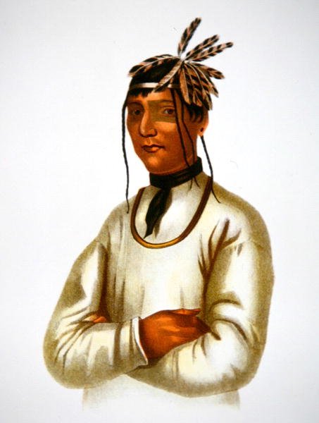 Caatousee of the Chippewa Tribe (színes litográfia) alkotó: Charles Bird King