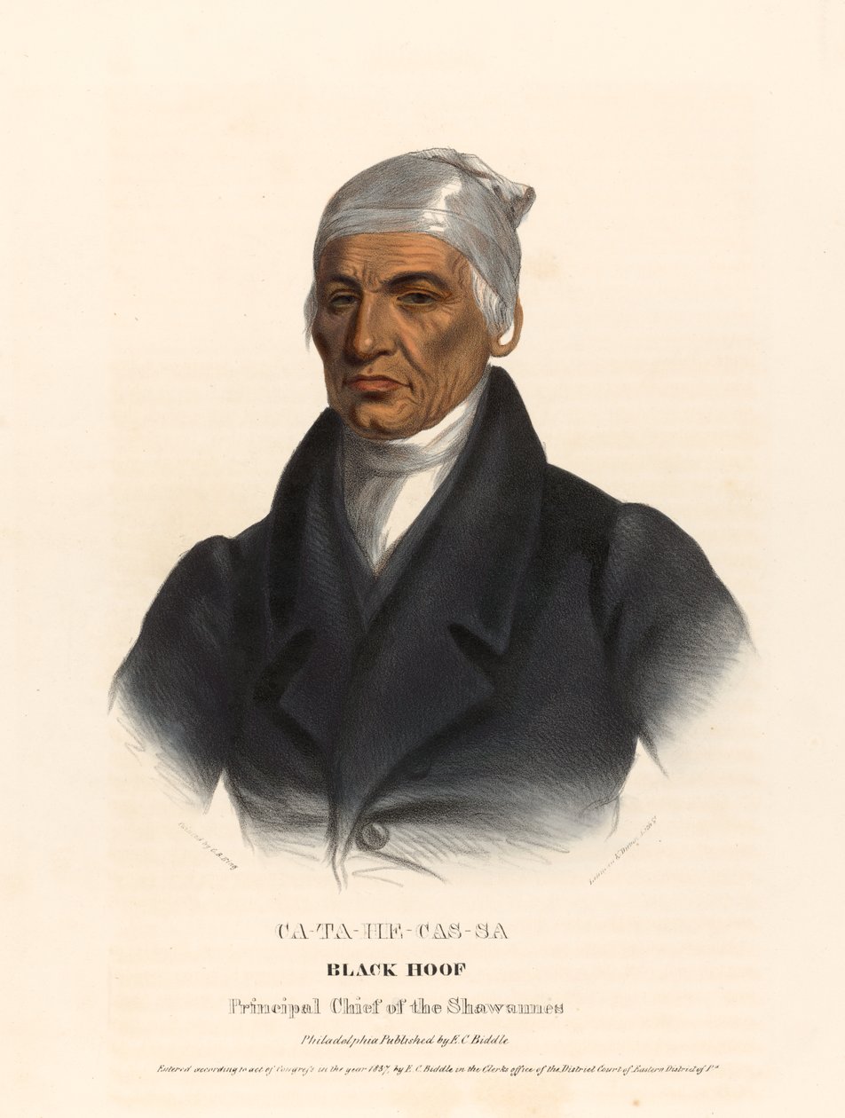 Catahecassa alkotó: Charles Bird King
