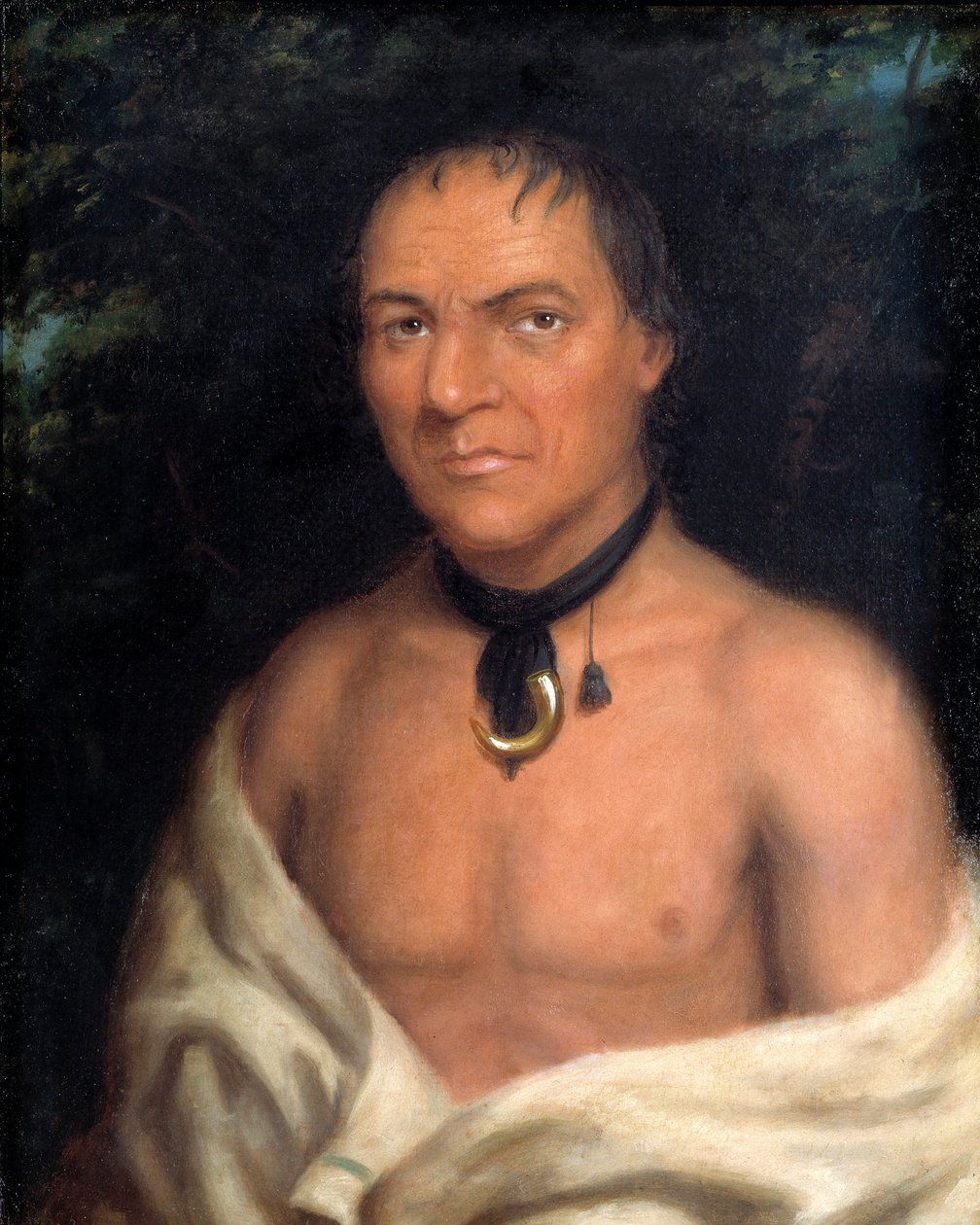 Co-sne-boin alkotó: Charles Bird King